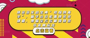 拼多多实战宝典“初级到高手”,新手小白必看拼多多课程,带你全方位解读拼多多各种玩法-全网第一网赚项目资源库-中赚网 & 中创网 & 冒泡网 & 福缘网 - 小本轻创业与优质加盟项目首选平台