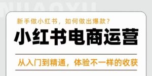 红商学院·小红书电商运营课,新手做小红书如何快速做出爆款,从入门到精通,体验不一样的收货-全网第一网赚项目资源库-中赚网 & 中创网 & 冒泡网 & 福缘网 - 小本轻创业与优质加盟项目首选平台