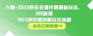 大炮·2023拼多多强付费最新玩法,3月新课78分钟详细讲解玩法流程-全网第一网赚项目资源库-中赚网 & 中创网 & 冒泡网 & 福缘网 - 小本轻创业与优质加盟项目首选平台