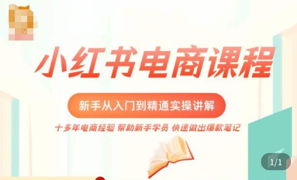 小红书电商新手入门到精通实操课，从入门到精通做爆款笔记，开店运营-全网第一网赚项目资源库-中赚网 & 中创网 & 冒泡网 & 福缘网 - 小本轻创业与优质加盟项目首选平台