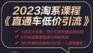 2023直通车低价引流玩法课程，小成本大流量，低价引流快速拉新收割，让你快速掌握直通车突破瓶颈-全网第一网赚项目资源库-中赚网 & 中创网 & 冒泡网 & 福缘网 - 小本轻创业与优质加盟项目首选平台