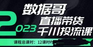 数据哥2023直播电商巨量千川付费投流实操课，快速掌握直播带货运营投放策略-全网第一网赚项目资源库-中赚网 & 中创网 & 冒泡网 & 福缘网 - 小本轻创业与优质加盟项目首选平台