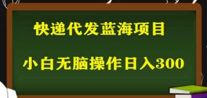 2023最新蓝海快递代发项目，小白零成本照抄也能日入300+-全网第一网赚项目资源库-中赚网 & 中创网 & 冒泡网 & 福缘网 - 小本轻创业与优质加盟项目首选平台