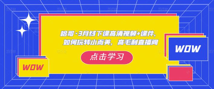哈哥·3月线下实操课高清视频+课件，如何玩转小而美，高毛利直播间-全网第一网赚项目资源库-中赚网 & 中创网 & 冒泡网 & 福缘网 - 小本轻创业与优质加盟项目首选平台