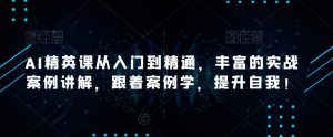 AI精英课从入门到精通,丰富的实战案例讲解,跟着案例学,提升自我!-全网第一网赚项目资源库-中赚网 & 中创网 & 冒泡网 & 福缘网 - 小本轻创业与优质加盟项目首选平台