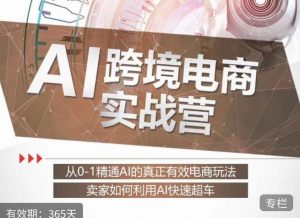 白龙老师·AI跨境电商实战营:从0-1精通Al的真正有效电商玩法,卖家如何利用Al快速超车-全网第一网赚项目资源库-中赚网 & 中创网 & 冒泡网 & 福缘网 - 小本轻创业与优质加盟项目首选平台