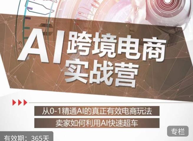 白龙老师·AI跨境电商实战营：从0-1精通Al的真正有效电商玩法，卖家如何利用Al快速超车-全网第一网赚项目资源库-中赚网 & 中创网 & 冒泡网 & 福缘网 - 小本轻创业与优质加盟项目首选平台