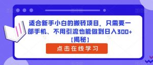 适合新手小白的搬砖项目,只需要一部手机、不用引流也能做到日入300+【揭秘】-全网第一网赚项目资源库-中赚网 & 中创网 & 冒泡网 & 福缘网 - 小本轻创业与优质加盟项目首选平台