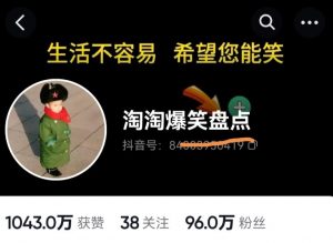 价值1000的搞笑盘点大V淘淘爆笑盘点详细课程+软件,中视频变现-全网第一网赚项目资源库-中赚网 & 中创网 & 冒泡网 & 福缘网 - 小本轻创业与优质加盟项目首选平台