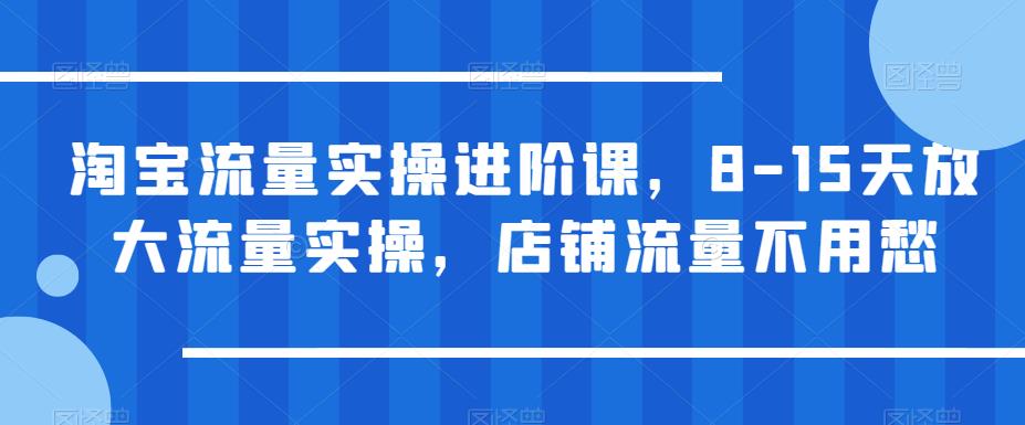 淘宝流量实操进阶课，8-15天放大流量实操，店铺流量不用愁-全网第一网赚项目资源库-中赚网 & 中创网 & 冒泡网 & 福缘网 - 小本轻创业与优质加盟项目首选平台