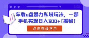 车载u盘暴力私域玩法,一部手机实现日入300+【揭秘】-全网第一网赚项目资源库-中赚网 & 中创网 & 冒泡网 & 福缘网 - 小本轻创业与优质加盟项目首选平台
