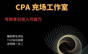 cpa充场工作室，号称单日收入10000+（揭秘）-全网第一网赚项目资源库-中赚网 & 中创网 & 冒泡网 & 福缘网 - 小本轻创业与优质加盟项目首选平台