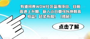 有道词典WOW社区蓝海项目,目前高速上升期,新人小白都可以换取高收益!赶紧布局!【揭秘】-全网第一网赚项目资源库-中赚网 & 中创网 & 冒泡网 & 福缘网 - 小本轻创业与优质加盟项目首选平台