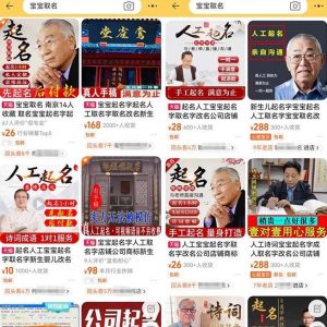 拆解小红书宝宝起名虚拟副业项目，一条龙实操玩法分享给你（教程+软件）-全网第一网赚项目资源库-中赚网 & 中创网 & 冒泡网 & 福缘网 - 小本轻创业与优质加盟项目首选平台