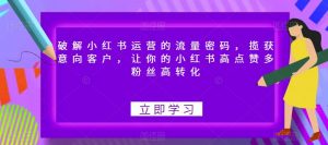 破解小红书运营的流量密码,揽获意向客户,让你的小红书高点赞多粉丝高转化-全网第一网赚项目资源库-中赚网 & 中创网 & 冒泡网 & 福缘网 - 小本轻创业与优质加盟项目首选平台