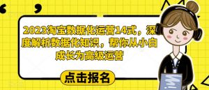 2023淘宝数据化运营14式，深度解析数据化知识，帮你从小白成长为高级运营-全网第一网赚项目资源库-中赚网 & 中创网 & 冒泡网 & 福缘网 - 小本轻创业与优质加盟项目首选平台