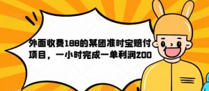 外面收费188的美团准时宝赔付项目,一小时完成一单利润200【仅揭秘】-全网第一网赚项目资源库-中赚网 & 中创网 & 冒泡网 & 福缘网 - 小本轻创业与优质加盟项目首选平台