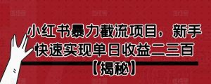 小红书暴力截流项目,新手快速实现单日收益二三百【仅揭秘】-全网第一网赚项目资源库-中赚网 & 中创网 & 冒泡网 & 福缘网 - 小本轻创业与优质加盟项目首选平台