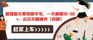 极速版无费用薅羊毛，一天躺赚10-50+，小白无脑操作【拆解】-全网第一网赚项目资源库-中赚网 & 中创网 & 冒泡网 & 福缘网 - 小本轻创业与优质加盟项目首选平台