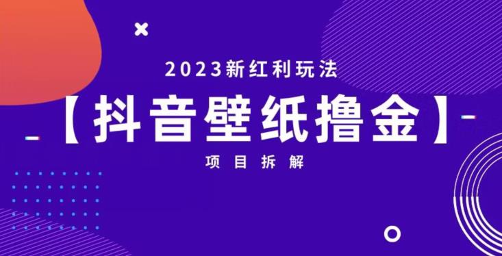 抖音壁纸小程序创作者撸金项目，2023新红利玩法【项目拆解】-全网第一网赚项目资源库-中赚网 & 中创网 & 冒泡网 & 福缘网 - 小本轻创业与优质加盟项目首选平台