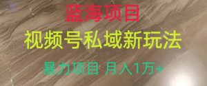 蓝海项目,视频号私域新玩法,暴力项目月入1万+【揭秘】-全网第一网赚项目资源库-中赚网 & 中创网 & 冒泡网 & 福缘网 - 小本轻创业与优质加盟项目首选平台
