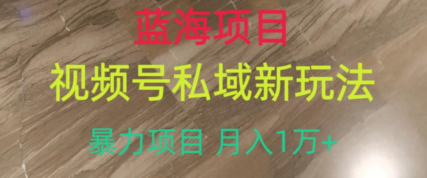 蓝海项目，视频号私域新玩法，暴力项目月入1万+【揭秘】-全网第一网赚项目资源库-中赚网 & 中创网 & 冒泡网 & 福缘网 - 小本轻创业与优质加盟项目首选平台