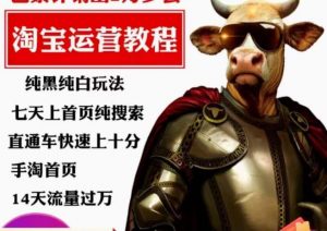 猫老师·淘系算法逆向解密，​纯黑纯白玩法，七天上首页纯搜索，手淘首页14天流量过万-全网第一网赚项目资源库-中赚网 & 中创网 & 冒泡网 & 福缘网 - 小本轻创业与优质加盟项目首选平台