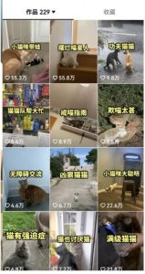 拆解：抖音盘点类中视频变现副业项目，视频版一条龙大解析分享给你-全网第一网赚项目资源库-中赚网 & 中创网 & 冒泡网 & 福缘网 - 小本轻创业与优质加盟项目首选平台