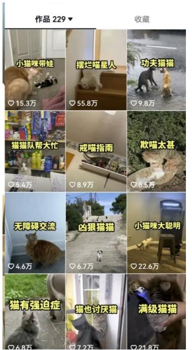 拆解抖音盘点类中视频变现副业项目，视频版一条龙大解析分享给你【视频课程】-全网第一网赚项目资源库-中赚网 & 中创网 & 冒泡网 & 福缘网 - 小本轻创业与优质加盟项目首选平台