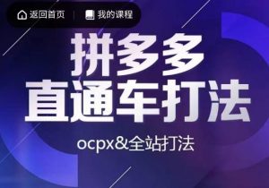 互力·拼多多直通车打法，ocpx&全站打法-全网第一网赚项目资源库-中赚网 & 中创网 & 冒泡网 & 福缘网 - 小本轻创业与优质加盟项目首选平台