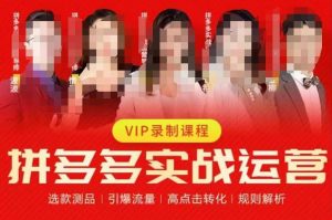 2023推易拼多多实战运营，选款测品、引爆流量、高点击转化、规则解析-全网第一网赚项目资源库-中赚网 & 中创网 & 冒泡网 & 福缘网 - 小本轻创业与优质加盟项目首选平台