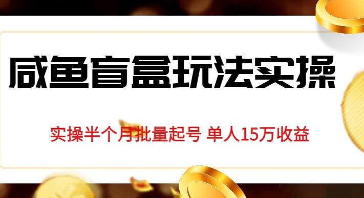 独家首发咸鱼盲盒玩法实操，半个月批量起号单人15万收益【揭秘】-全网第一网赚项目资源库-中赚网 & 中创网 & 冒泡网 & 福缘网 - 小本轻创业与优质加盟项目首选平台