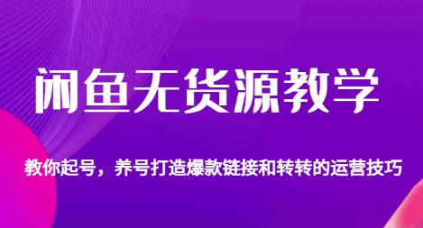 闲鱼无货源教学，教你起号，养号打造爆款链接以及转转的运营技巧-全网第一网赚项目资源库-中赚网 & 中创网 & 冒泡网 & 福缘网 - 小本轻创业与优质加盟项目首选平台