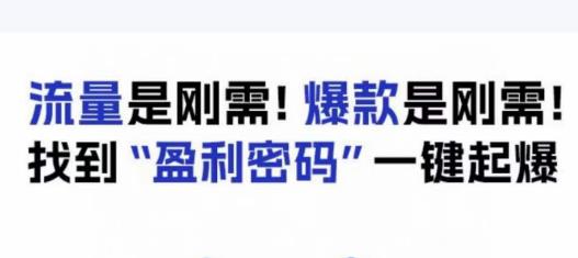 电商盈利精品课：6大盈利密码让产品更好卖，流量是刚需！爆款是刚需！找到”盈利密码”一键起爆-全网第一网赚项目资源库-中赚网 & 中创网 & 冒泡网 & 福缘网 - 小本轻创业与优质加盟项目首选平台