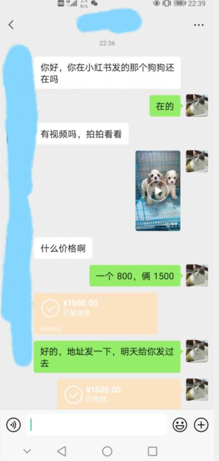 外边收费3980的同城萌宠项目，用最冷门的玩法冲击最热门的市场【揭秘】-全网第一网赚项目资源库-中赚网 & 中创网 & 冒泡网 & 福缘网 - 小本轻创业与优质加盟项目首选平台