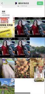 外面收费198的最新视频号连怼技术，条条原创，条条爆单【揭秘】-全网第一网赚项目资源库-中赚网 & 中创网 & 冒泡网 & 福缘网 - 小本轻创业与优质加盟项目首选平台