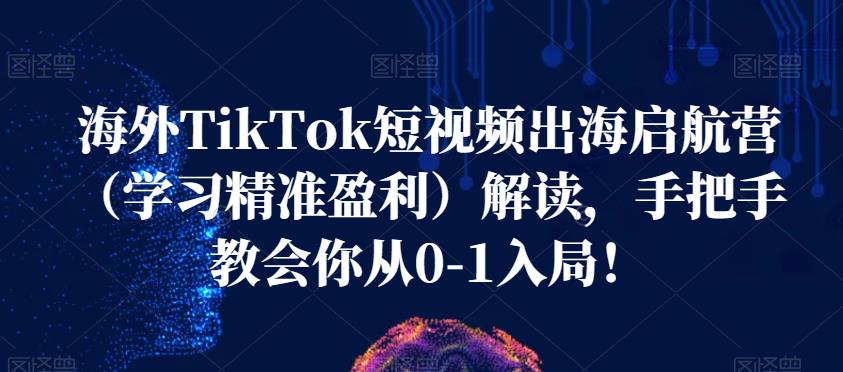 海外TikTok短视频出海启航营（学习精准盈利）解读，手把手教会你从0-1入局！-全网第一网赚项目资源库-中赚网 & 中创网 & 冒泡网 & 福缘网 - 小本轻创业与优质加盟项目首选平台