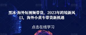 黑冰·海外短视频带货,2023年跨境新风口,海外小黄车带货新机遇-全网第一网赚项目资源库-中赚网 & 中创网 & 冒泡网 & 福缘网 - 小本轻创业与优质加盟项目首选平台