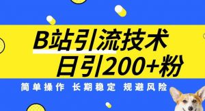 B站引流技术：每天引流200精准粉，简单操作，长期稳定，规避风险-全网第一网赚项目资源库-中赚网 & 中创网 & 冒泡网 & 福缘网 - 小本轻创业与优质加盟项目首选平台