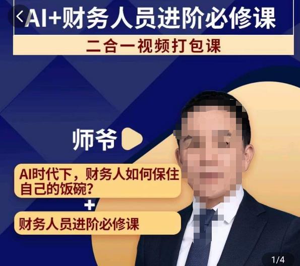 AI+财务人员进阶必修课二合一视频打包课，财务人员进阶必修课-全网第一网赚项目资源库-中赚网 & 中创网 & 冒泡网 & 福缘网 - 小本轻创业与优质加盟项目首选平台