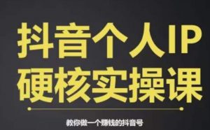 个人IP创富系统实战课，商业定位，流量打造，短视频变现，教你做个赚钱的抖音号-全网第一网赚项目资源库-中赚网 & 中创网 & 冒泡网 & 福缘网 - 小本轻创业与优质加盟项目首选平台