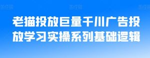 老猫投放巨量千川广告投放学习实操系列基础逻辑-全网第一网赚项目资源库-中赚网 & 中创网 & 冒泡网 & 福缘网 - 小本轻创业与优质加盟项目首选平台
