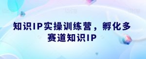 知识IP实操训练营，​孵化多赛道知识IP-全网第一网赚项目资源库-中赚网 & 中创网 & 冒泡网 & 福缘网 - 小本轻创业与优质加盟项目首选平台