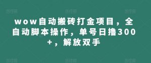 wow自动搬砖打金项目,全自动脚本操作,单号日撸300+,解放双手【揭秘】-全网第一网赚项目资源库-中赚网 & 中创网 & 冒泡网 & 福缘网 - 小本轻创业与优质加盟项目首选平台