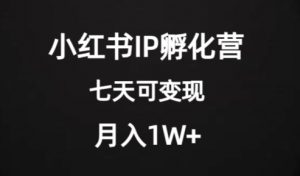 价值2000+的小红书IP孵化营项目，超级大蓝海，七天即可开始变现，稳定月入1W+-全网第一网赚项目资源库-中赚网 & 中创网 & 冒泡网 & 福缘网 - 小本轻创业与优质加盟项目首选平台