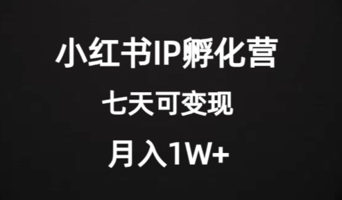 价值2000+的小红书IP孵化营项目，超级大蓝海，七天即可开始变现，稳定月入1W+-全网第一网赚项目资源库-中赚网 & 中创网 & 冒泡网 & 福缘网 - 小本轻创业与优质加盟项目首选平台