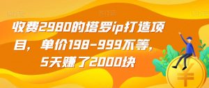收费2980的塔罗ip打造项目,单价198-999不等,5天赚了2000块【揭秘】-全网第一网赚项目资源库-中赚网 & 中创网 & 冒泡网 & 福缘网 - 小本轻创业与优质加盟项目首选平台