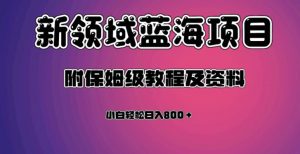 虚拟资源蓝海领域新项目，轻松日入800＋，附保姆级教程及资料-全网第一网赚项目资源库-中赚网 & 中创网 & 冒泡网 & 福缘网 - 小本轻创业与优质加盟项目首选平台