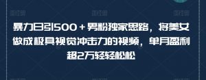 暴力日引500+男粉独家思路,将美女做成极具视觉冲击力的视频,单月盈利超2万轻轻松松-全网第一网赚项目资源库-中赚网 & 中创网 & 冒泡网 & 福缘网 - 小本轻创业与优质加盟项目首选平台