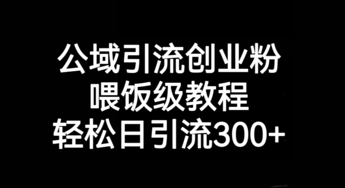 公域引流创业粉，喂饭级教程，轻松日引流300+【揭秘】-全网第一网赚项目资源库-中赚网 & 中创网 & 冒泡网 & 福缘网 - 小本轻创业与优质加盟项目首选平台